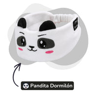 Pandita Dormilón